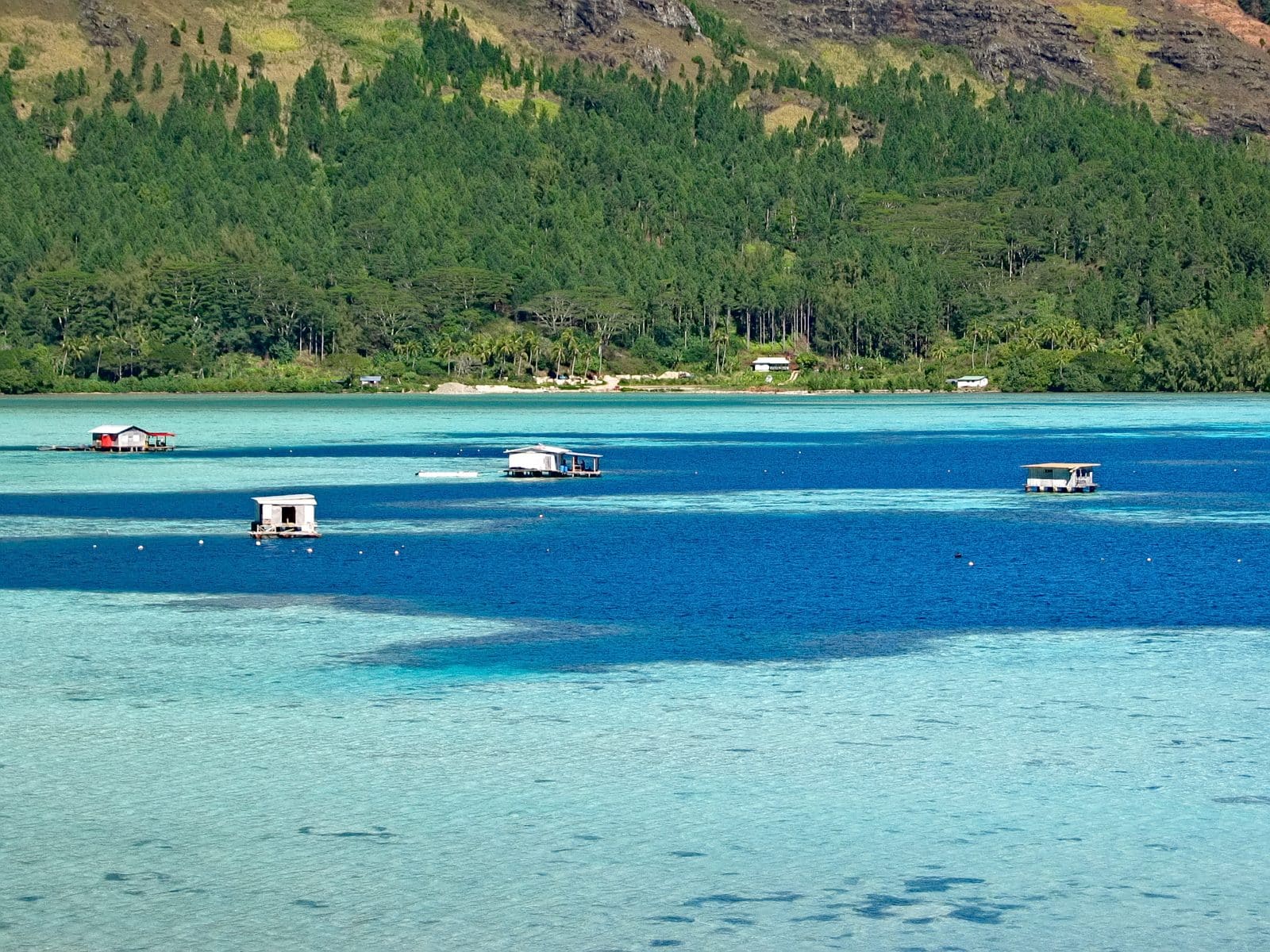 Fermes perlières à Mangareva