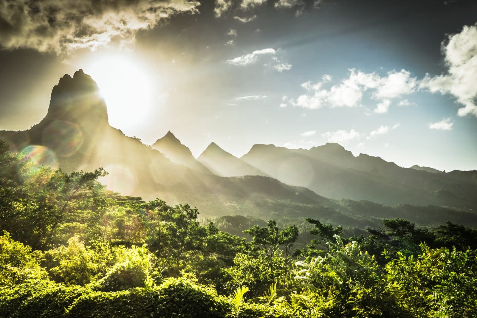 Paysage de la nature verdoyante de Moorea
