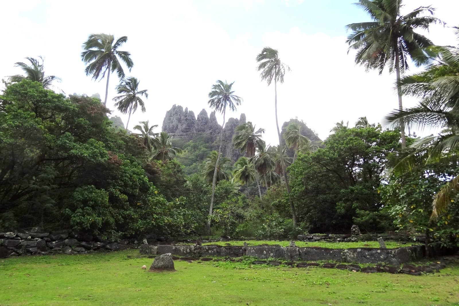 Paysage verdoyant à Nuku Hiva