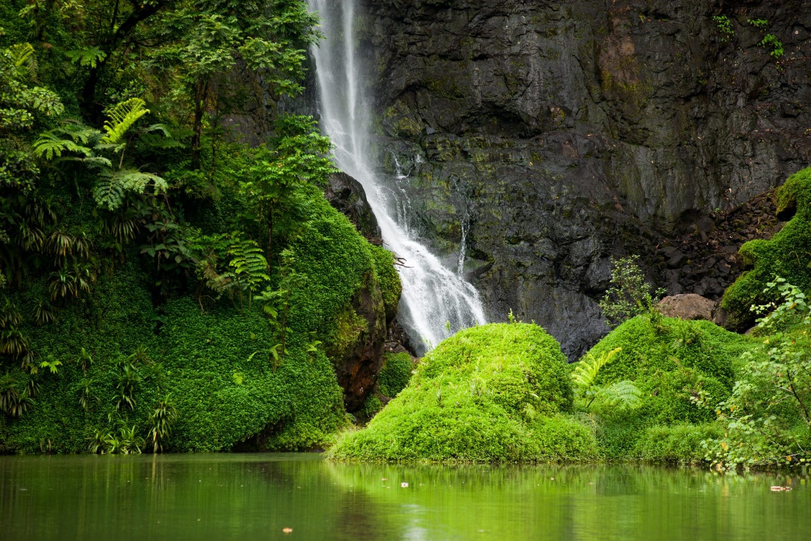 Cascade à Tahiti