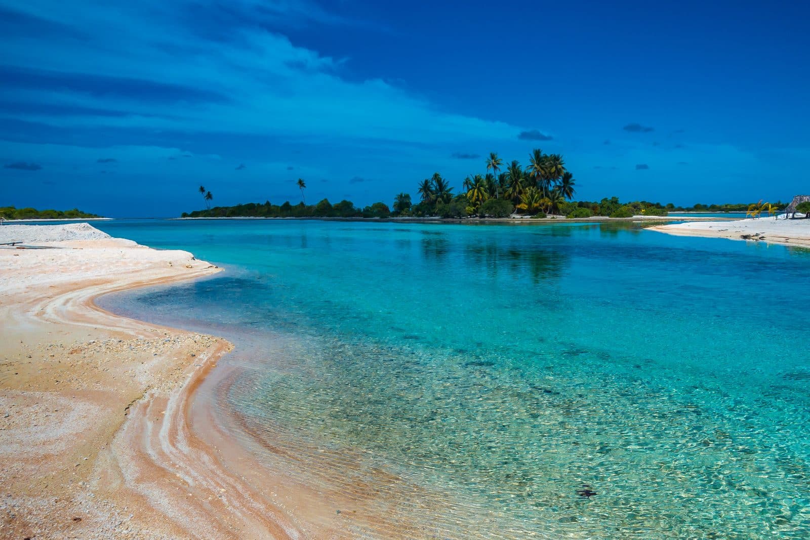 Plage et eau claire à Tikehau