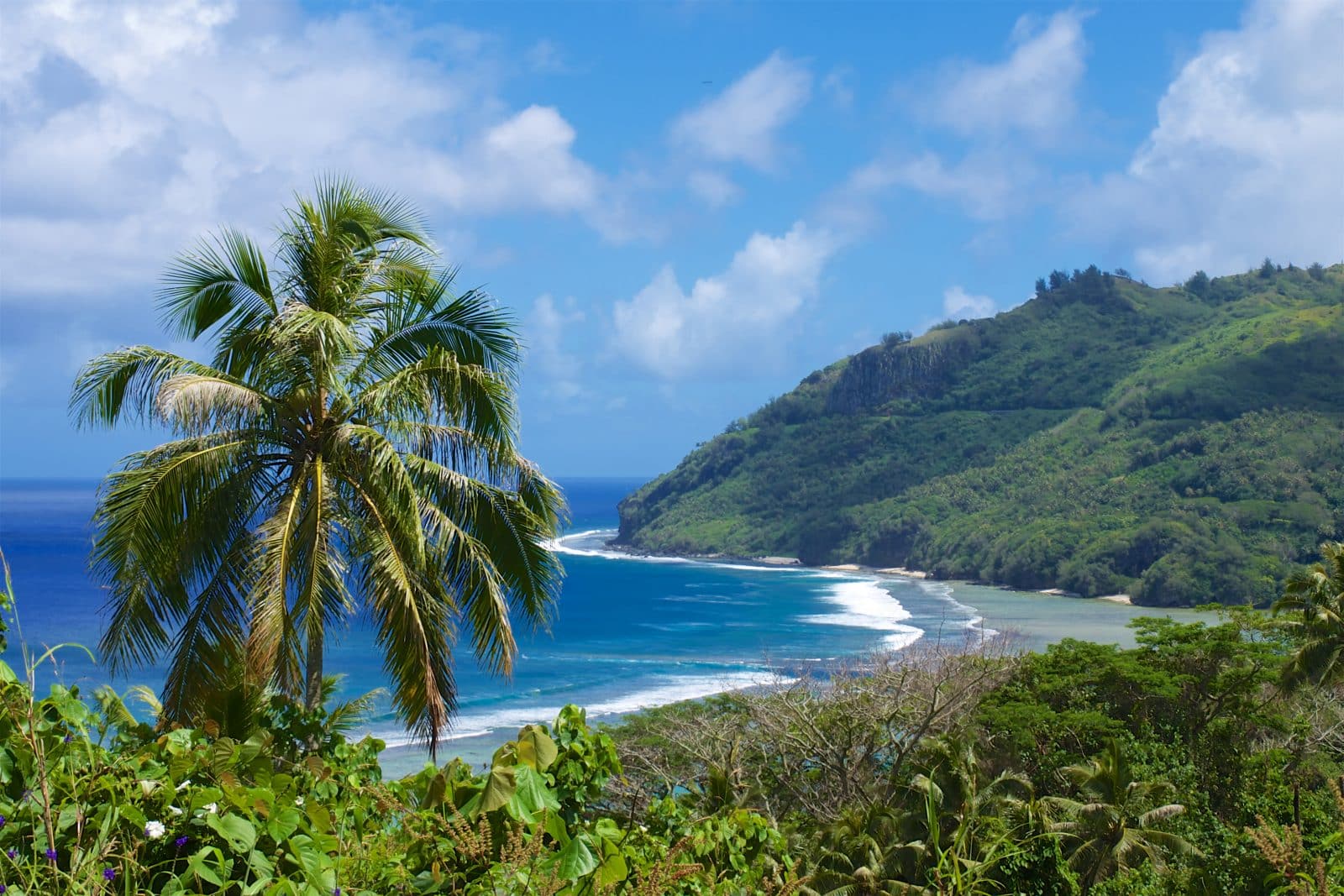 Vue de la plage, avec un palmier, à Rurutu