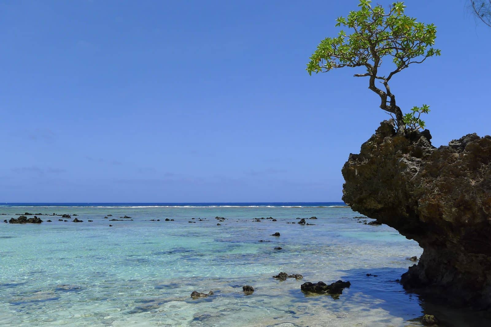 Lagon et arbre sur un rocher à Rimatara