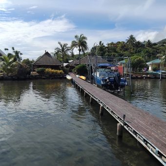Ixora